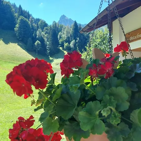 Holiday home Bergmomente Montafon Bitschweil *