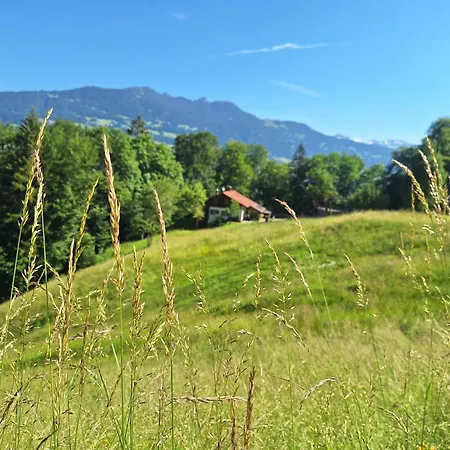 Bergmomente Montafon Bitschweil Ferienhaus *