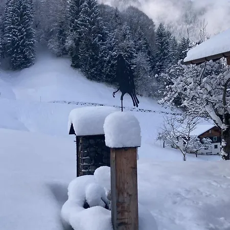 Ferienhaus Bergmomente Montafon Bitschweil Tschagguns